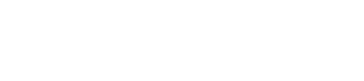 Logo Fanyion
